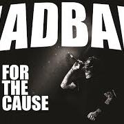 For the cause For the cause