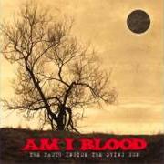 The lyrics THE ONE WHO FORGIVES of AM I BLOOD is also present in the album The truth inside the dying sun (2001)