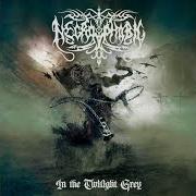 The lyrics NORDANVIND of NECROPHOBIC is also present in the album In the twilight grey (2024)