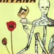 The lyrics SON OF A GUN (VASELINES COVER) of NIRVANA is also present in the album Incesticide (1992)