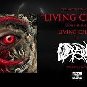 The lyrics BROKEN CURSE of OCEANO is also present in the album Living chaos (2024)