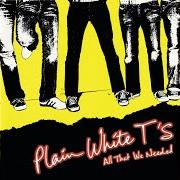 The lyrics LOSING MYSELF of PLAIN WHITE T'S is also present in the album All that we needed (2005)