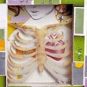 The lyrics [UNTITLED] of PRETTY GIRLS MAKE GRAVES is also present in the album Good health (2002)