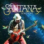 The lyrics COHERENCE of SANTANA is also present in the album Sentient (2025)