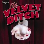 The velvet ditch The velvet ditch
