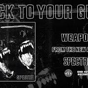 The lyrics HUSH of STICK TO YOUR GUNS is also present in the album Spectre (2022)