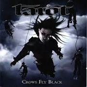 Crows fly black Crows fly black