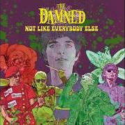 The lyrics GIMME DANGER of THE DAMNED is also present in the album Not like everybody else (2026)
