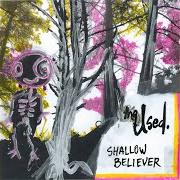 The lyrics INTO MY WEB of THE USED is also present in the album Shallow believer (2008)