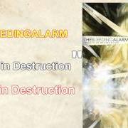 Beauty in destruction