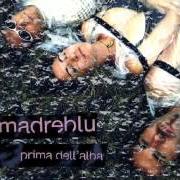 The lyrics MA PERCHÈ of MADREBLU is also present in the album Prima dell'alba (1997)