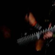 Fight or flight Fight or flight