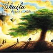The lyrics NOVIEMBRE of SHAILA is also present in the album Camino a idilia (2006)