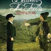 The lyrics WHITE LINES & RED LIGHTS of BETWEEN THE TREES is also present in the album The story and the song (2006)