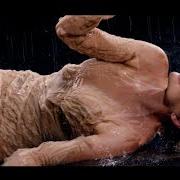 The lyrics SUGAR SUGAR of LORELLA CUCCARINI is also present in the album Nemicamatissima (2017)