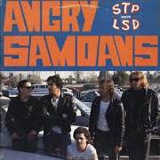 The lyrics STARING AT THE SUN of ANGRY SAMOANS is also present in the album Stp not lsd (1988)