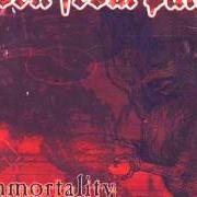 The lyrics CHRISTBORN of BORN FROM PAIN is also present in the album Immortality (2002)