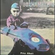 Prinz albert Prinz albert