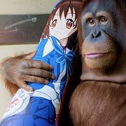 Like the end Like the end