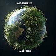 Kush + orange juice 2 Kush + orange juice 2