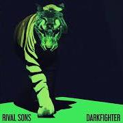 The lyrics BIRD IN THE HAND of RIVAL SONS is also present in the album Darkfighter (2023)