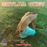 The lyrics THAT'LL BE FINE of SKYLAR GREY is also present in the album Wasted potential (2026)