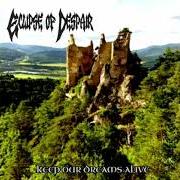 Keep your dream alive Keep your dream alive