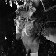 The lyrics CELLOPHANE of DON BROCO is also present in the album Nightmare tripping (2026)