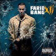 The lyrics STIRB BEIM VERSUCH of FARID BANG is also present in the album Xii (2024)