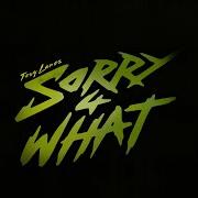 The lyrics SORRY 4 WHAT? // LV BELT of TORY LANEZ is also present in the album Sorry 4 what (2022)