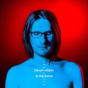 The lyrics TO THE BONE of STEVEN WILSON is also present in the album To the bone (2017)