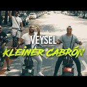 The lyrics ROBOTER of VEYSEL is also present in the album Other2