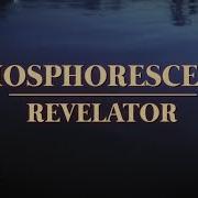 The lyrics WIDE AS HEAVEN of PHOSPHORESCENT is also present in the album Revelator (2024)