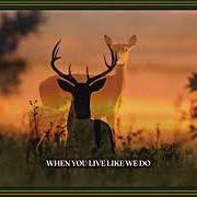 The lyrics THE DEVIL PLIES HIS TRADE (SN 6 EP 3) of TURNPIKE TROUBADOURS is also present in the album The price of admission (2025)