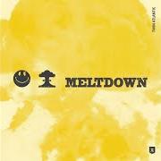 The lyrics I COULDN'T MISS YOU MUCH MORE of TWIN ATLANTIC is also present in the album Meltdown (2024)