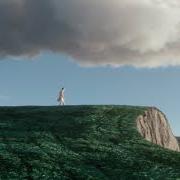 White magnolias White magnolias