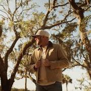 Spanish moss Spanish moss