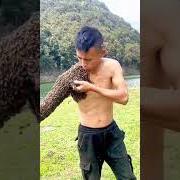 Til every petal drops Til every petal drops