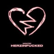 The lyrics MOND of MONTEZ is also present in the album Herzinfucked (2022)