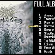 The lyrics THE WITCH BECKONS of SIGNS OF THE SWARM is also present in the album Amongst the low & empty (2023)