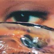 El jardín de lágrimas El jardín de lágrimas