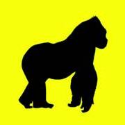 The lyrics JOHNNY GLAMOUR of RUSOWSKY is also present in the album Daisy (2025)