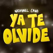 The lyrics YA TE OLVIDE of NATANAEL CANO is also present in the album Ya te olvide (2024)