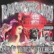 The lyrics ZWISCHEN DEN ZEILEN of BADMÓMZJAY is also present in the album Don't trust bitches (2024)