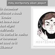 The lyrics ONE WAY MIRROR of RICKY MONTGOMERY is also present in the album Rick (2023)