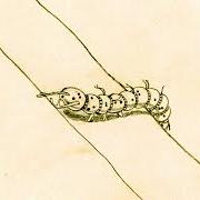 The lyrics MALIBÙ of CHIELLO is also present in the album Scarabocchi (2025)