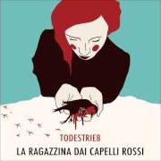 The lyrics LETTERA of LA RAGAZZINA DAI CAPELLI ROSSI is also present in the album Todestrieb (2016)