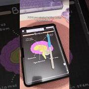 Digital notes Digital notes