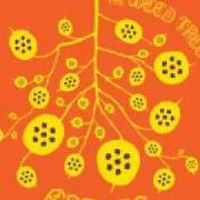 The weed tree The weed tree