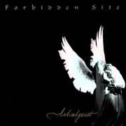 The lyrics "I HAVE LED ASTRAY SOME STARS" (ASTRALGEIST) of FORBIDDEN SITE is also present in the album Astralgeist (1999)